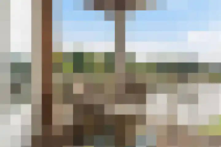 Walstroplein 43 Rotterdam thumbnail 12
