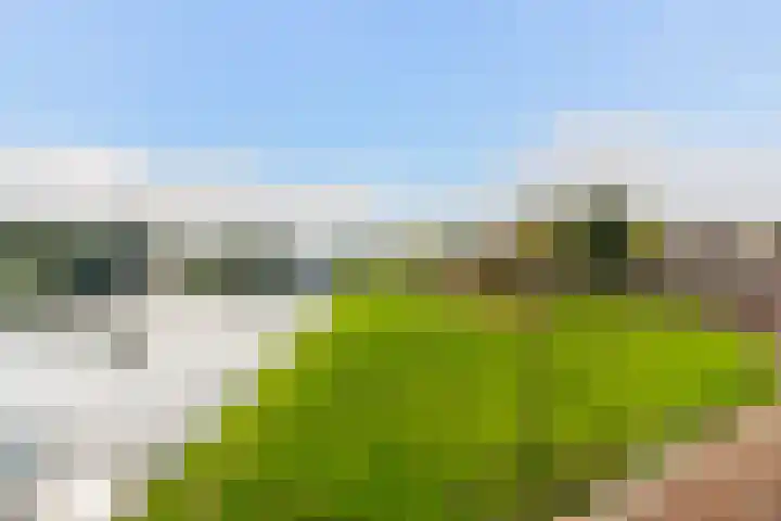 Walstroplein 43 Rotterdam thumbnail 36
