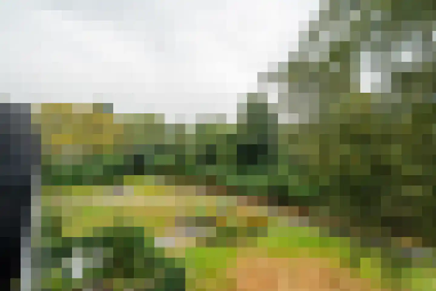 Walstroweg 56 Haren Gn thumbnail 32