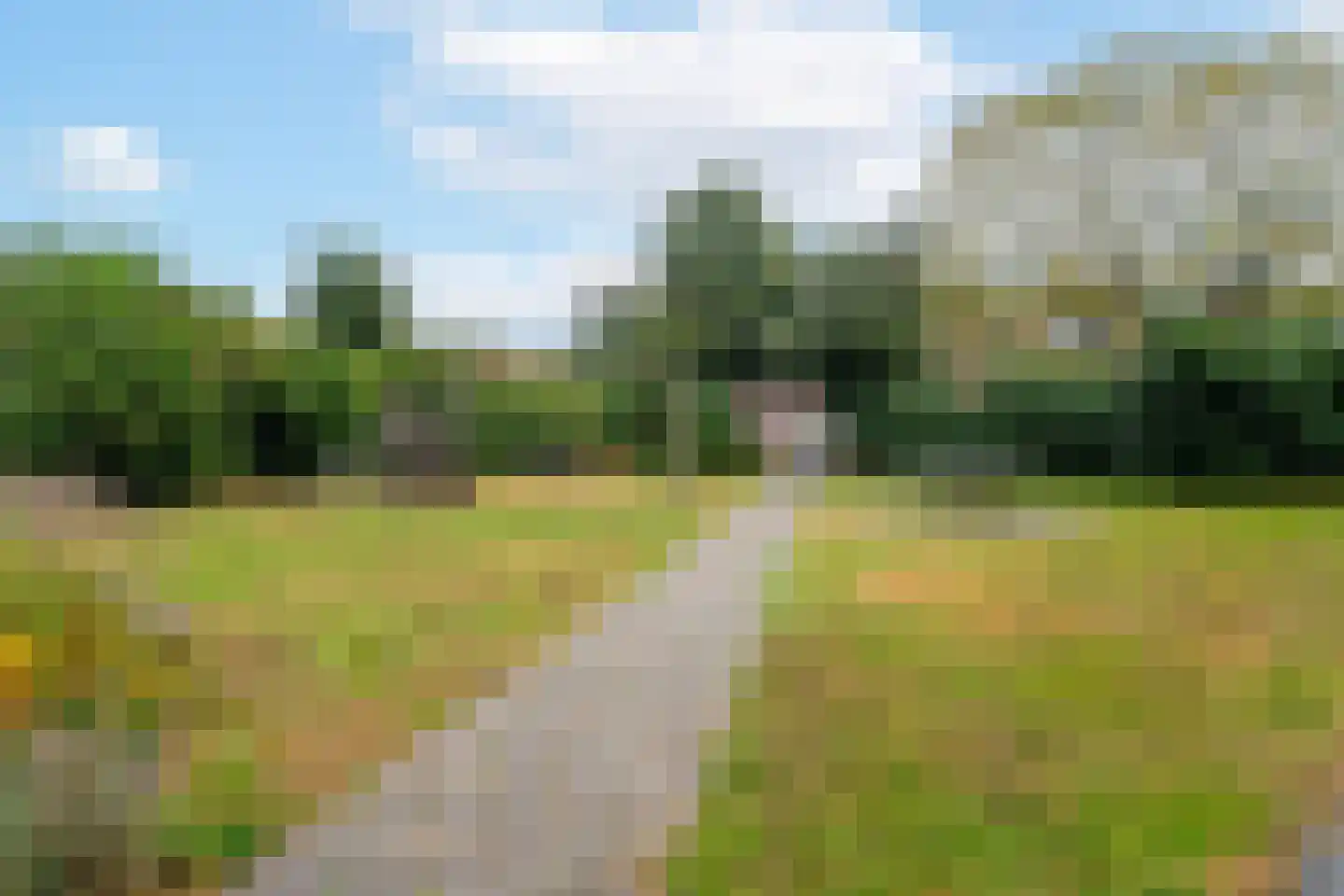 Walstroweg 56 Haren Gn thumbnail 42