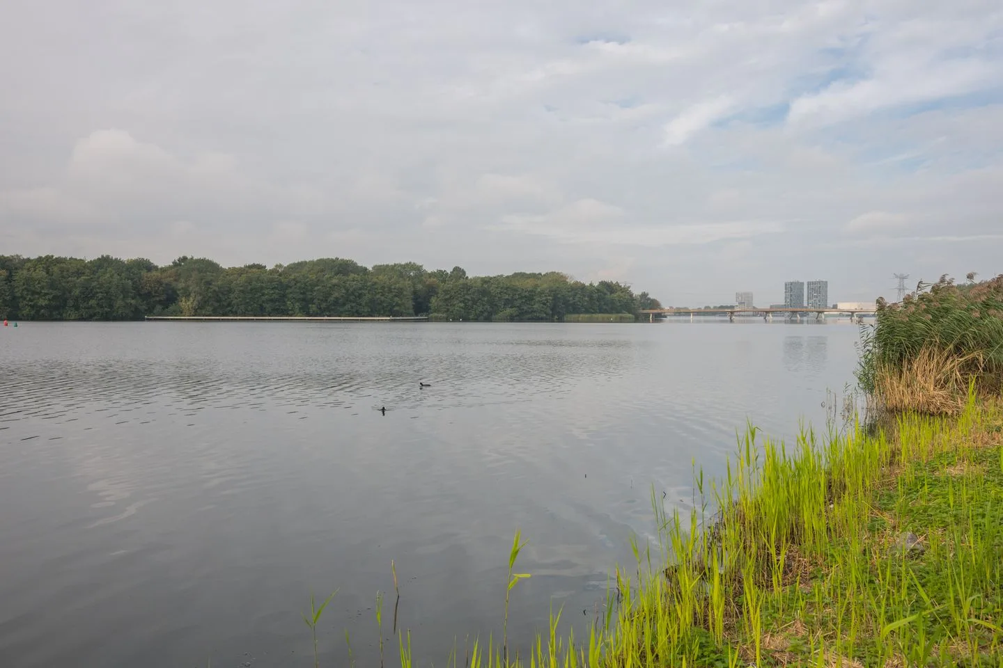 Walt Disneyplantsoen 77 Almere thumbnail 67