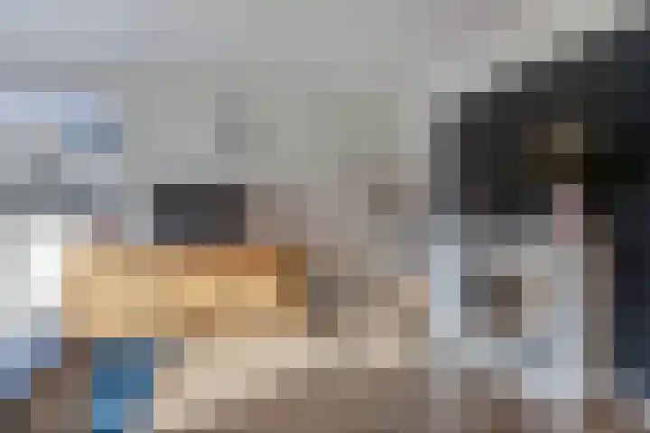 Walta 36 Drachten thumbnail 11
