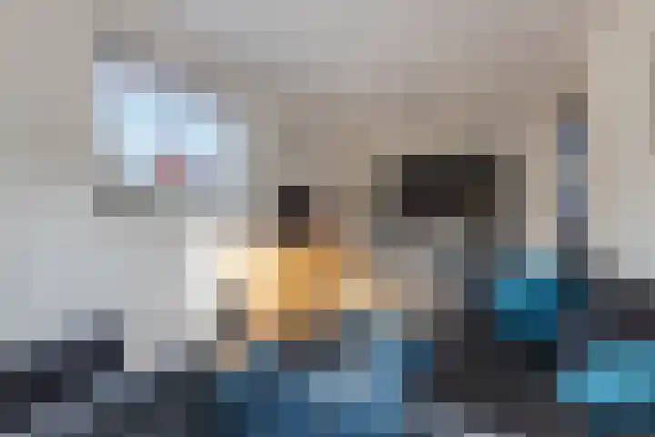Walta 36 Drachten thumbnail 13