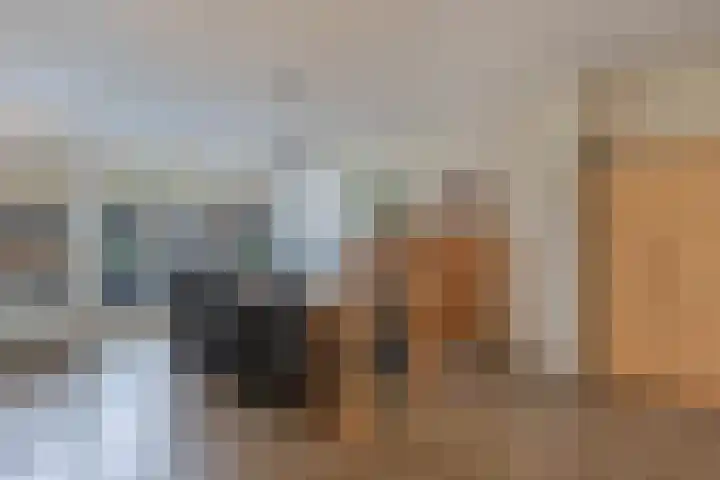 Walta 36 Drachten thumbnail 16