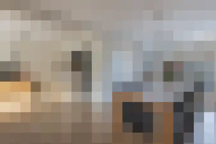 Walta 36 Drachten thumbnail 18