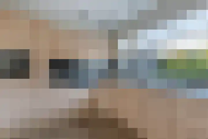 Walta 36 Drachten thumbnail 23