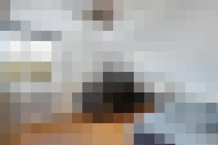 Walta 36 Drachten thumbnail 35