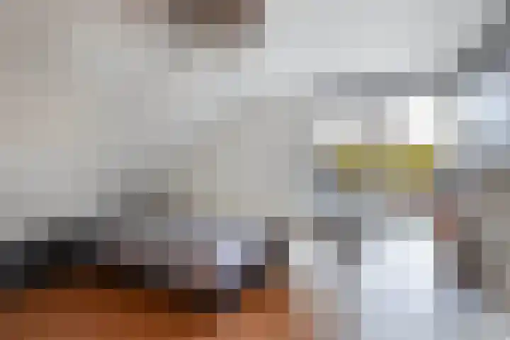 Walta 36 Drachten thumbnail 37