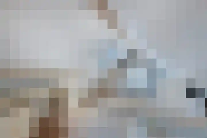 Walta 36 Drachten thumbnail 38