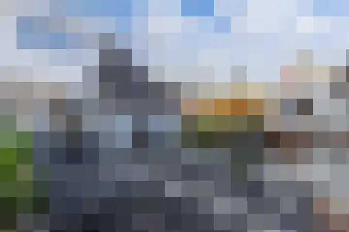 Walta 36 Drachten thumbnail 40