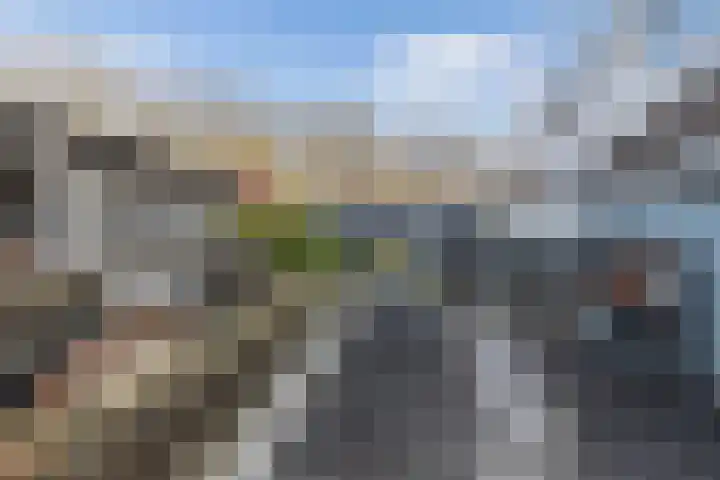 Walta 36 Drachten thumbnail 42