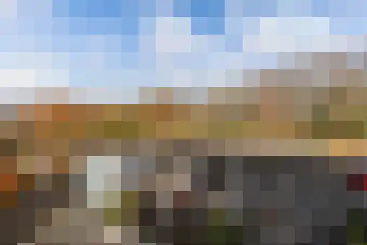 Walta 36 Drachten thumbnail 43