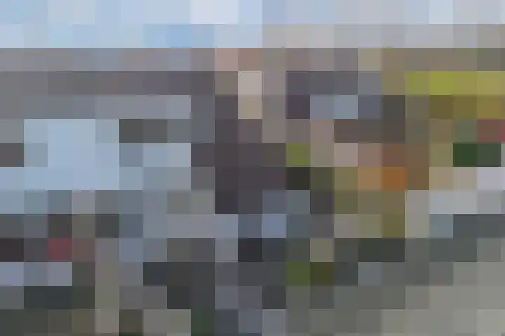 Walta 36 Drachten thumbnail 48
