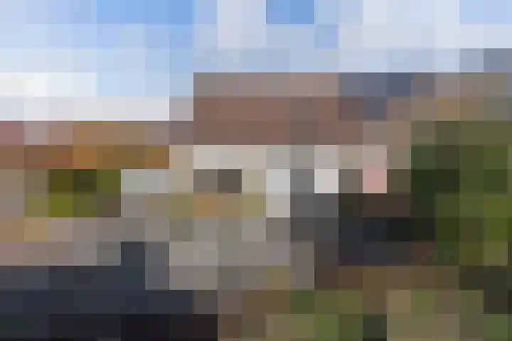 Walta 36 Drachten thumbnail 5
