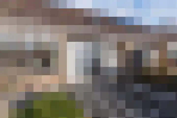 Walta 36 Drachten thumbnail 7