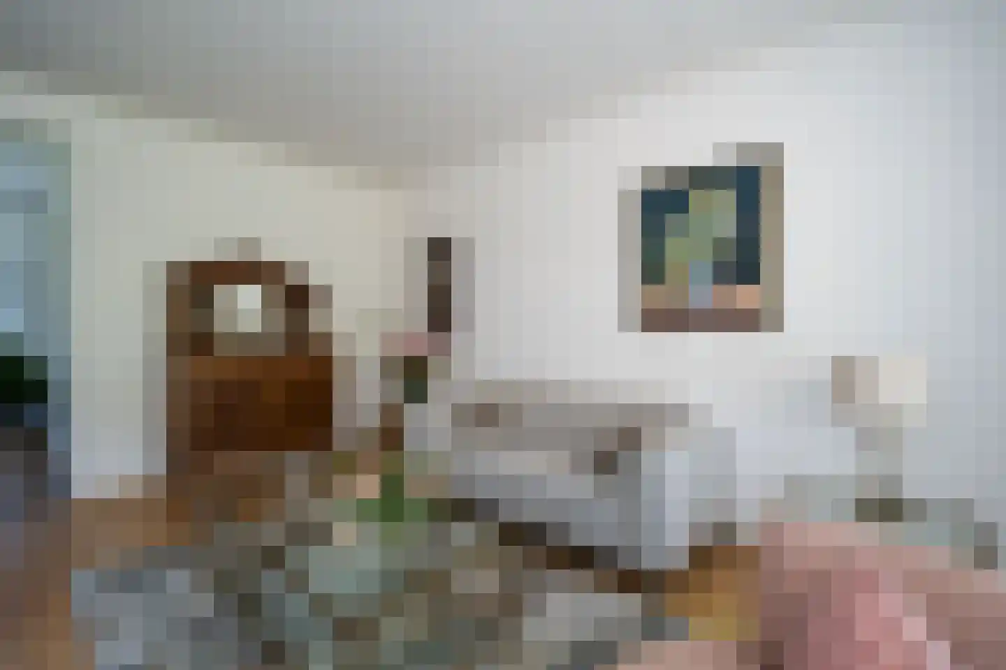 Walta 9 Drachten thumbnail 13