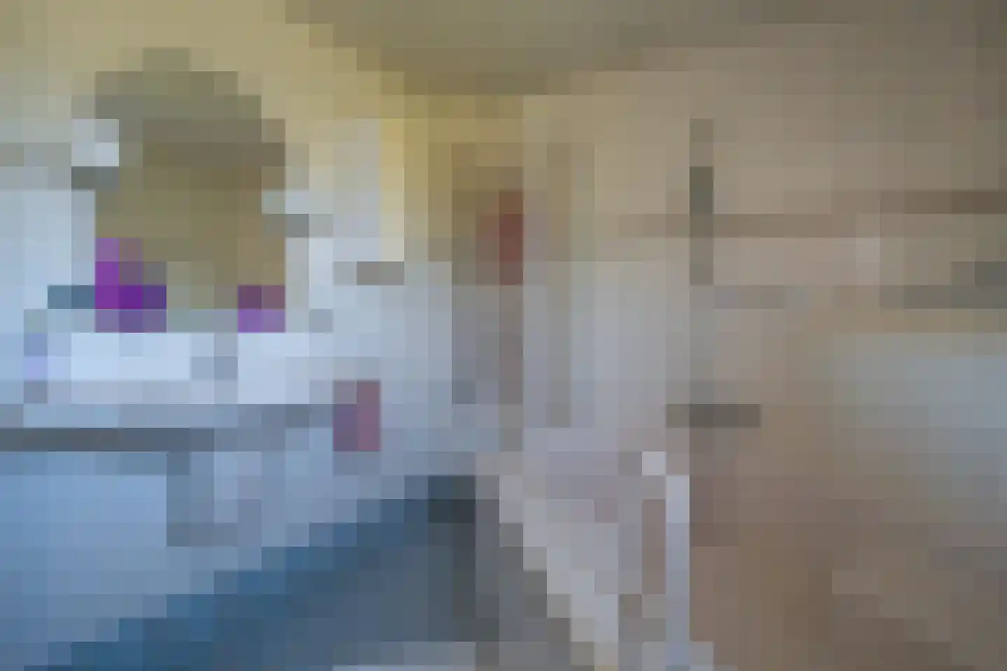 Walta 9 Drachten thumbnail 30