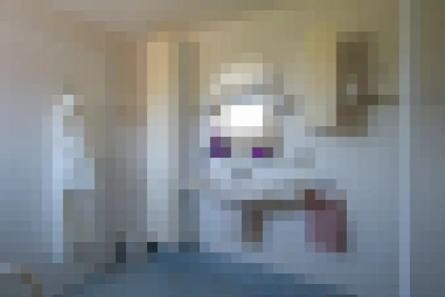 Walta 9 Drachten thumbnail 31