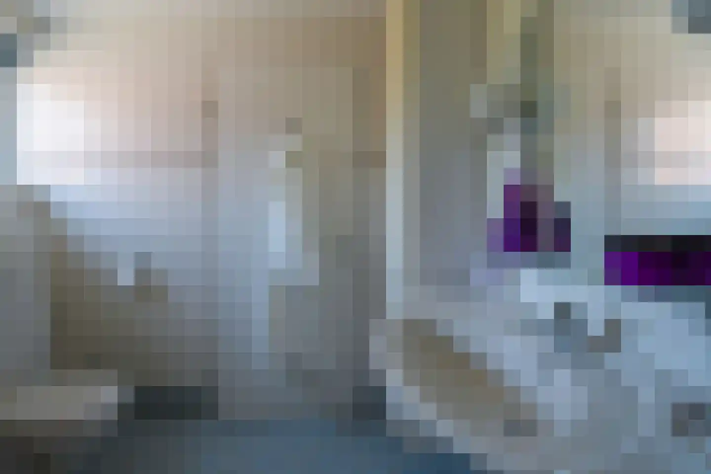 Walta 9 Drachten thumbnail 33