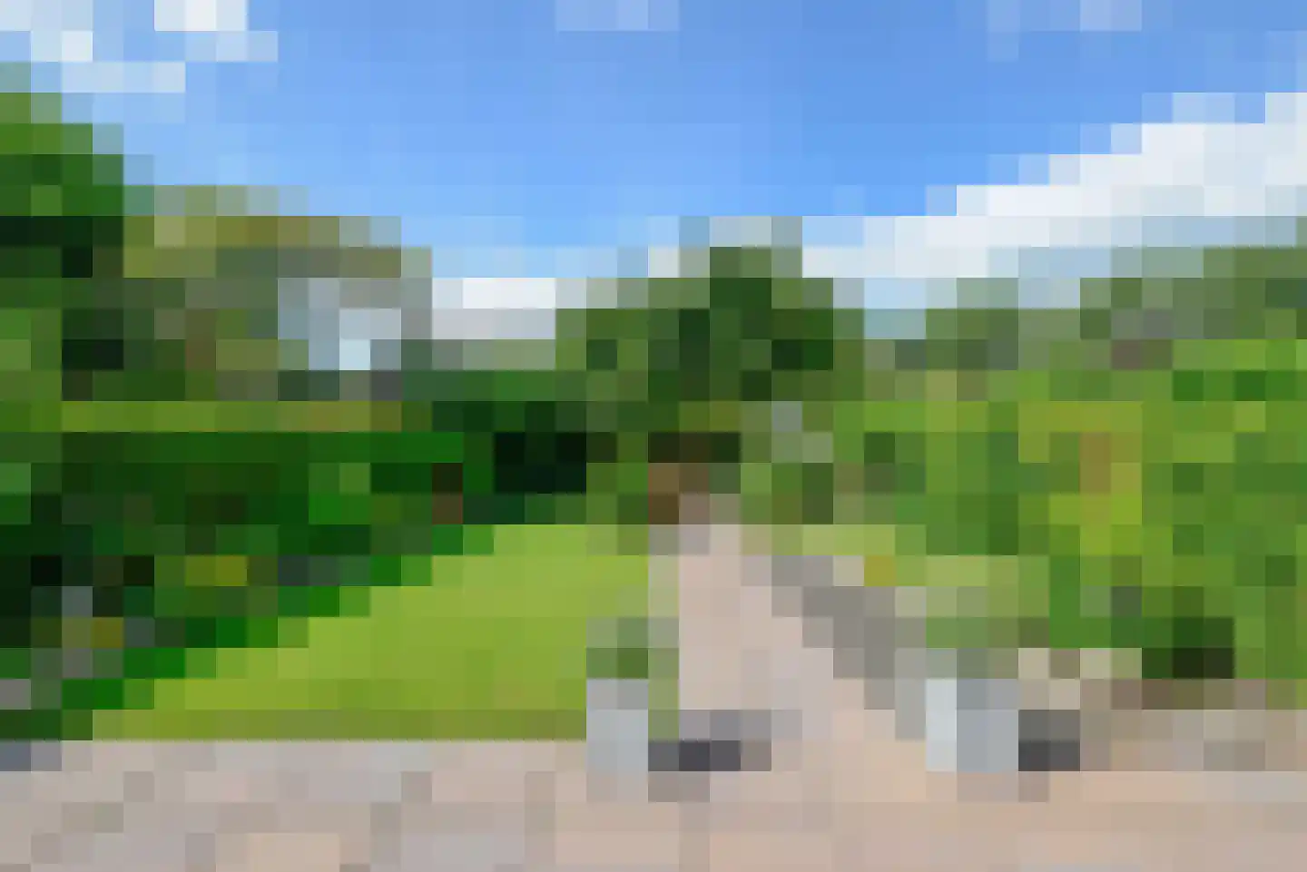 Walta 9 Drachten thumbnail 42