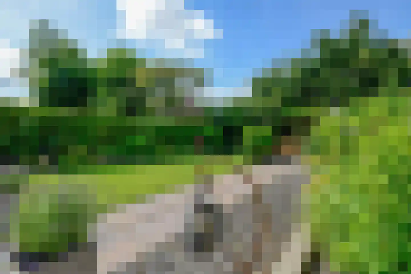 Walta 9 Drachten thumbnail 43