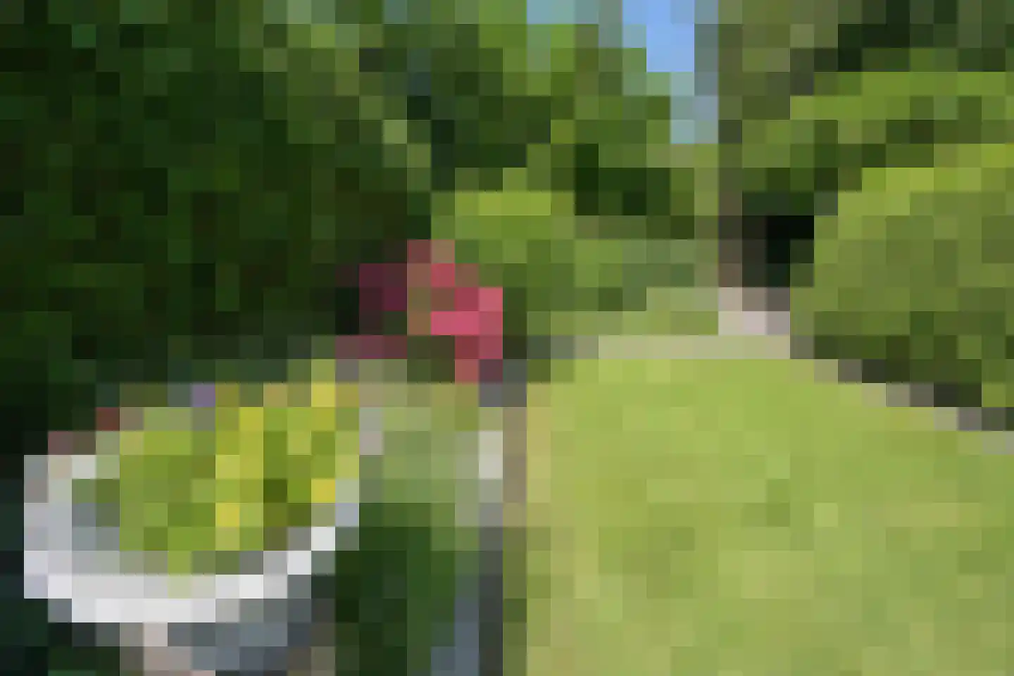 Walta 9 Drachten thumbnail 45