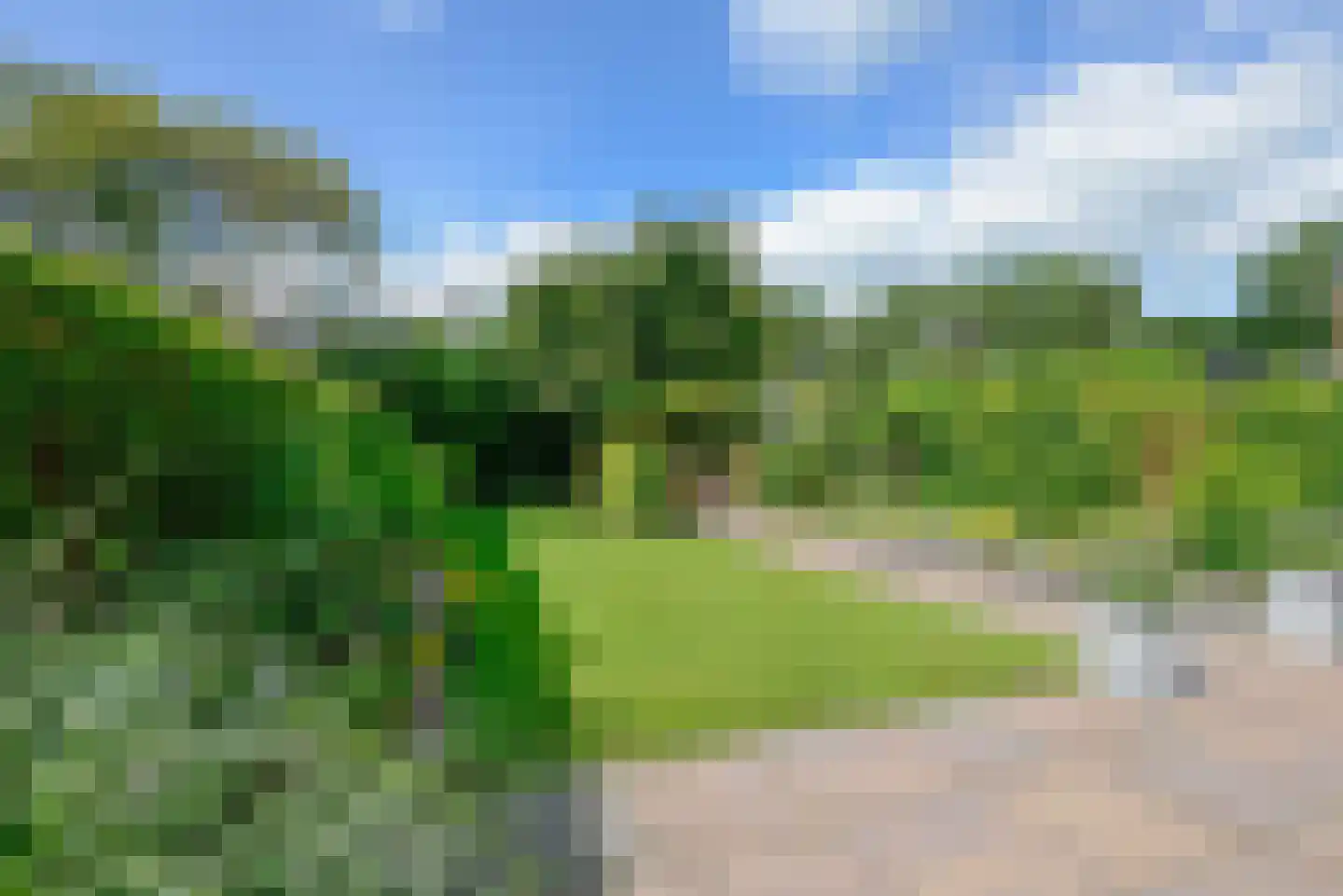 Walta 9 Drachten thumbnail 46