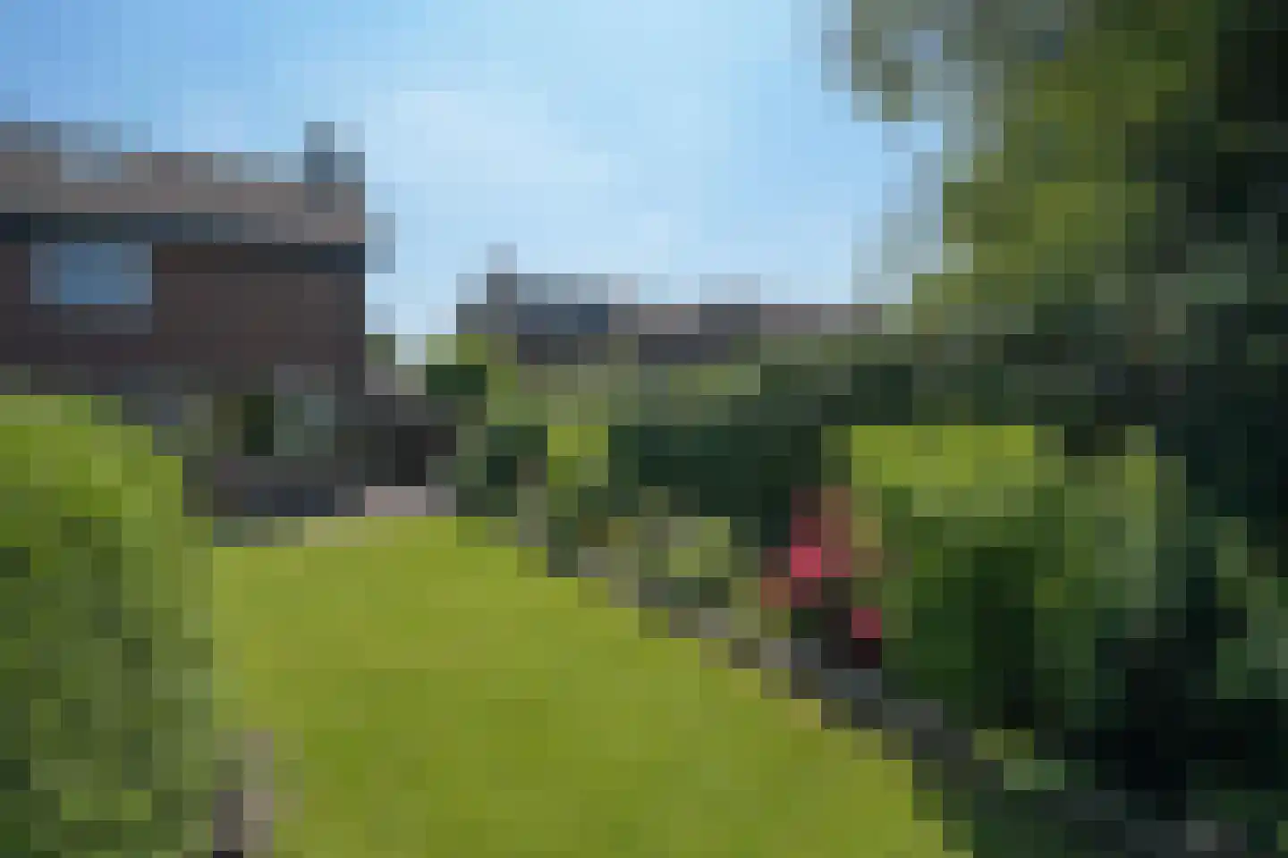 Walta 9 Drachten thumbnail 47