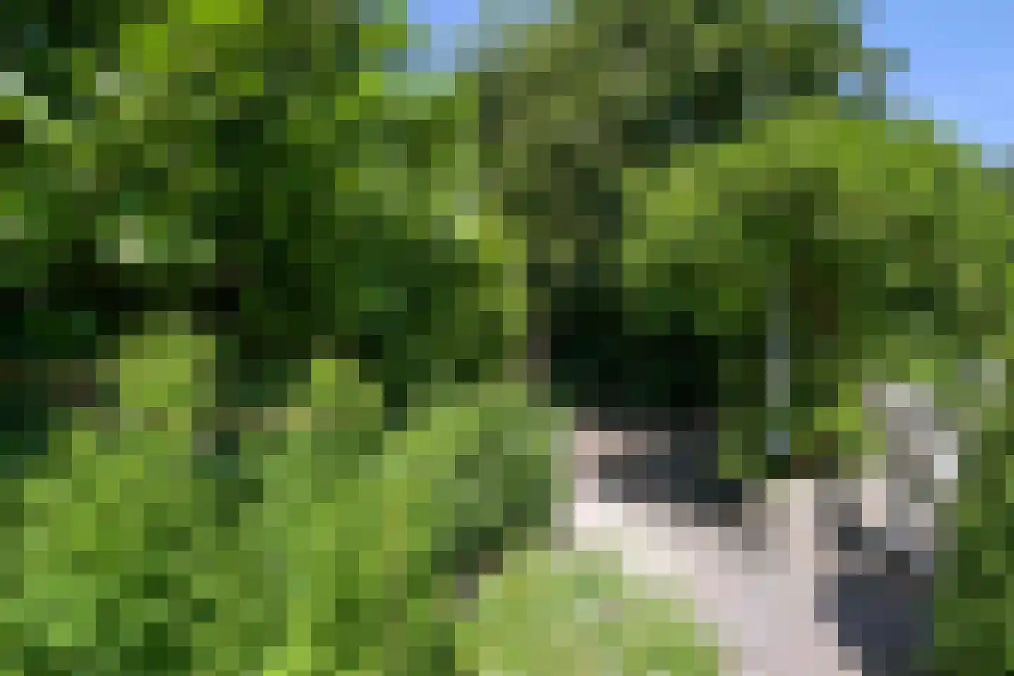 Walta 9 Drachten thumbnail 50