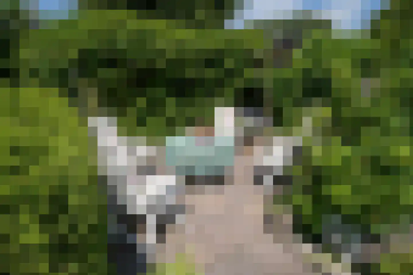 Walta 9 Drachten thumbnail 51