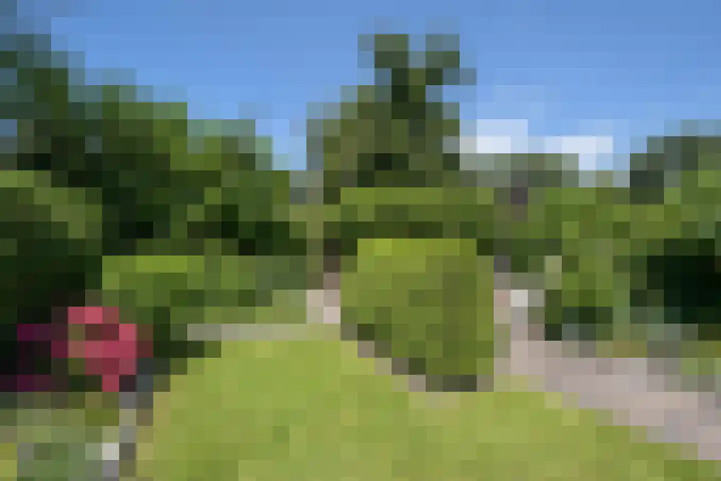 Walta 9 Drachten thumbnail 52