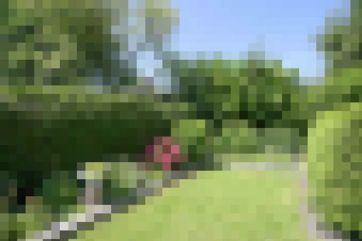 Walta 9 Drachten thumbnail 53