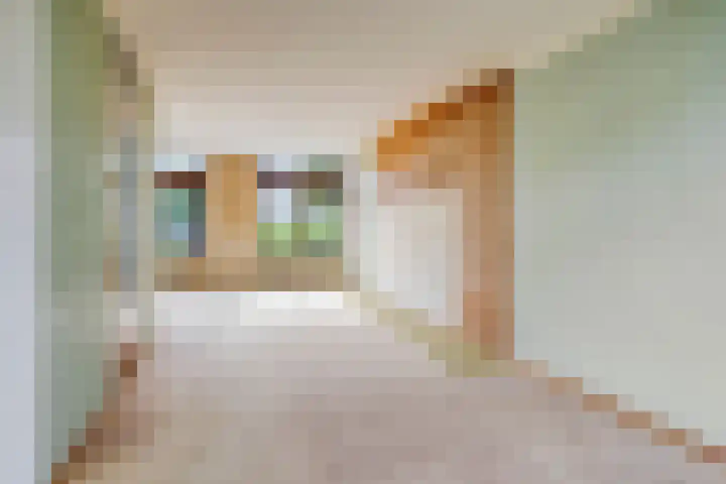 Waltastate 12 Almelo thumbnail 12