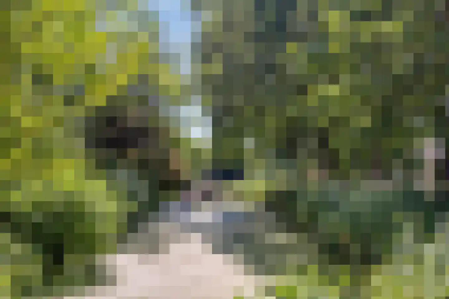 Walter Gropiuserf 19 Amersfoort thumbnail 29