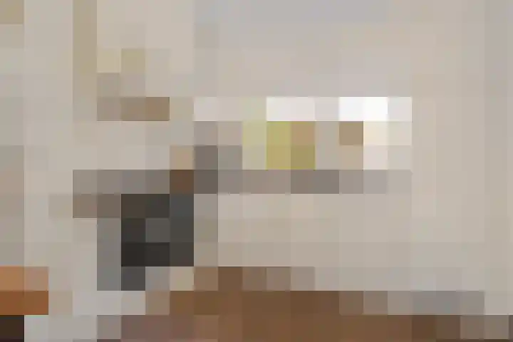 Walter Gropiuserf 23 Amersfoort thumbnail 12