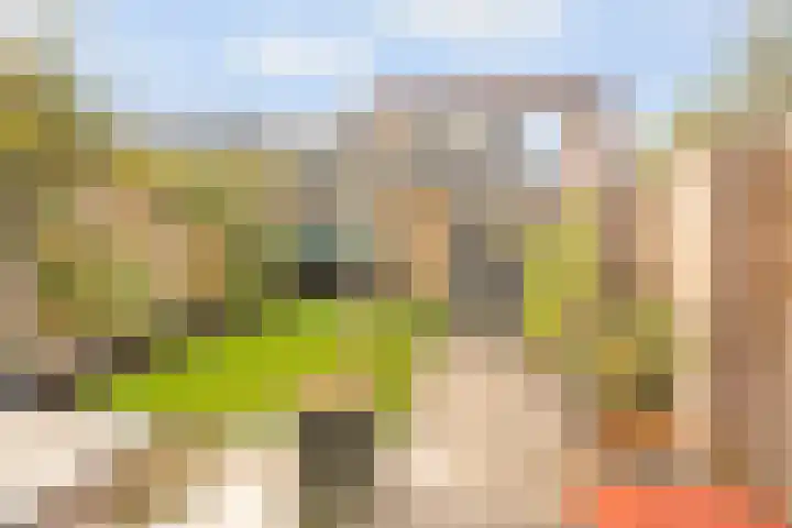 Walter Gropiuserf 23 Amersfoort thumbnail 16
