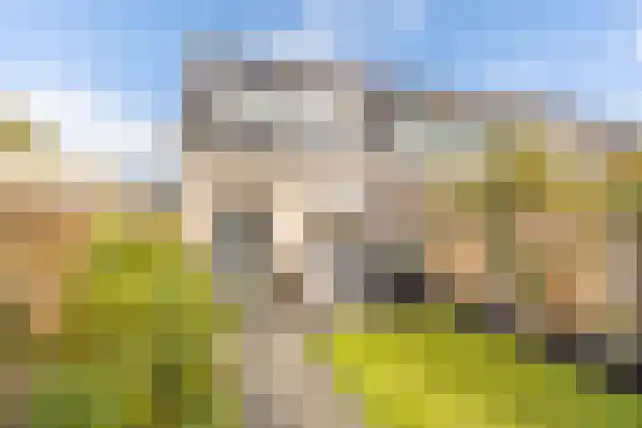 Walter Gropiuserf 23 Amersfoort thumbnail 18