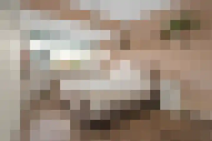 Walter Gropiuserf 23 Amersfoort thumbnail 19