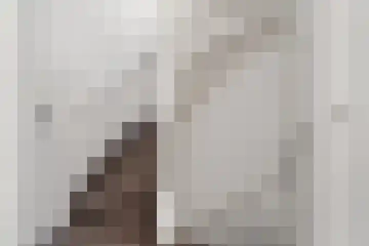Walter Gropiuserf 23 Amersfoort thumbnail 21