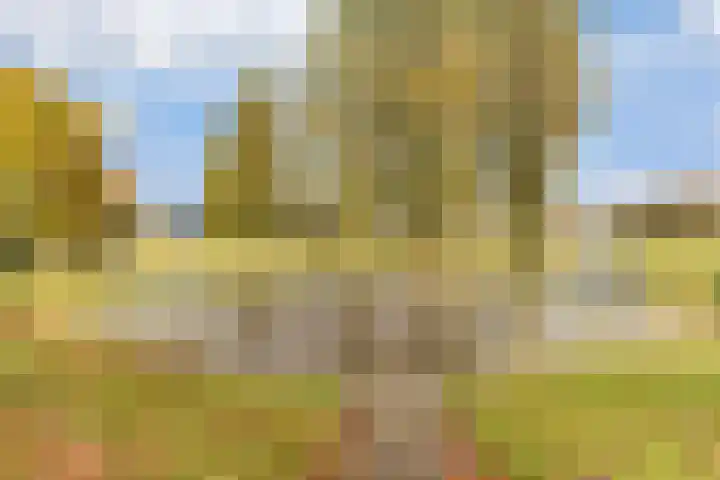 Walter Gropiuserf 23 Amersfoort thumbnail 31