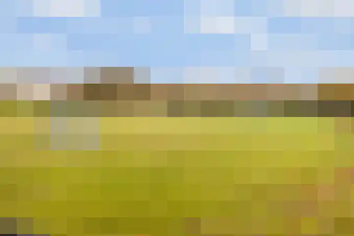 Walter Gropiuserf 23 Amersfoort thumbnail 32