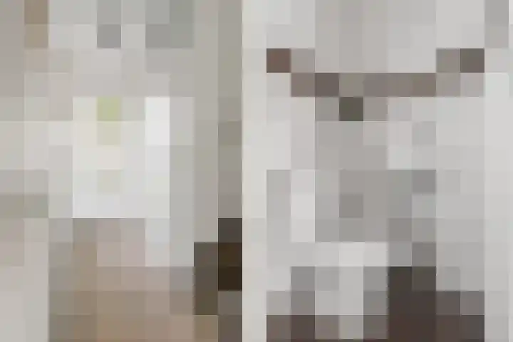 Walter Gropiuserf 23 Amersfoort thumbnail 4
