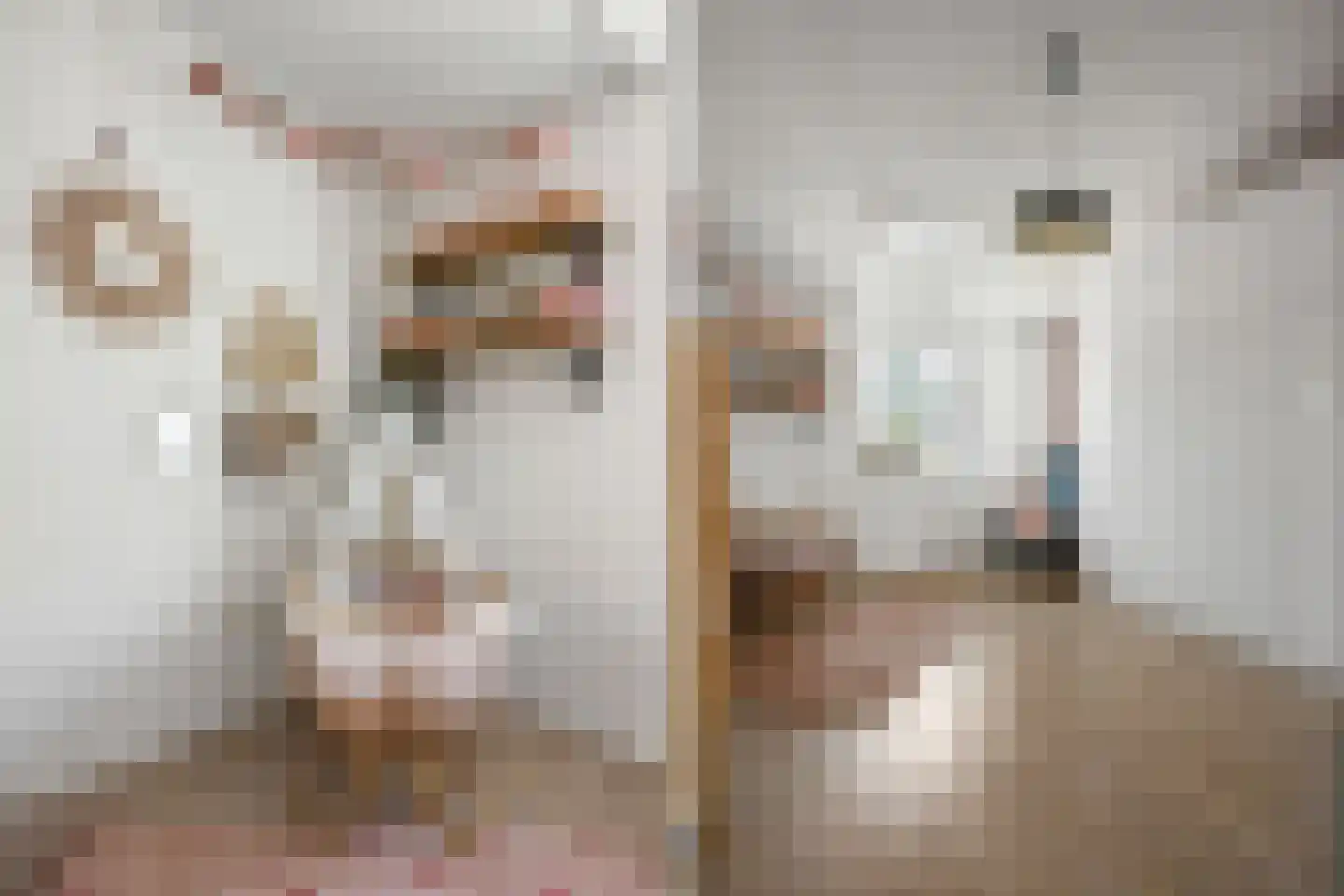 Walter Kollolaan 204 Utrecht thumbnail 14