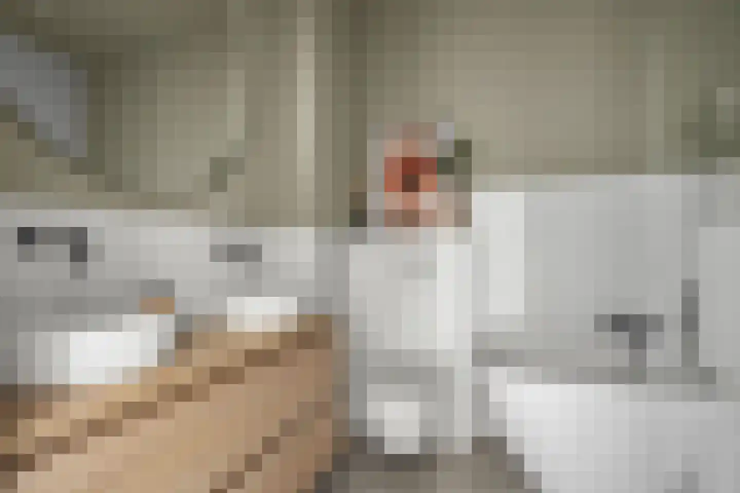 Walter Kollolaan 204 Utrecht thumbnail 15