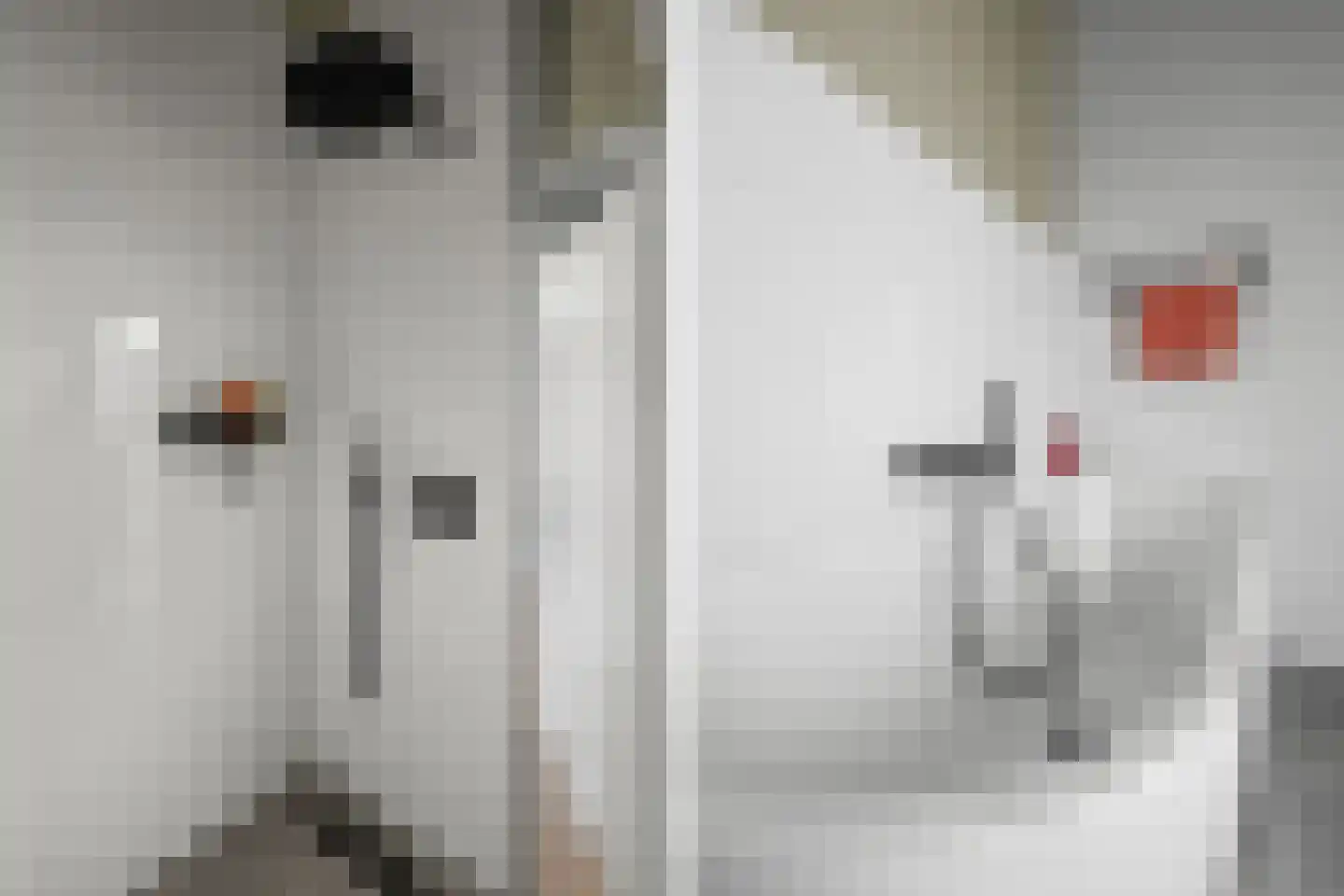 Walter Kollolaan 204 Utrecht thumbnail 16