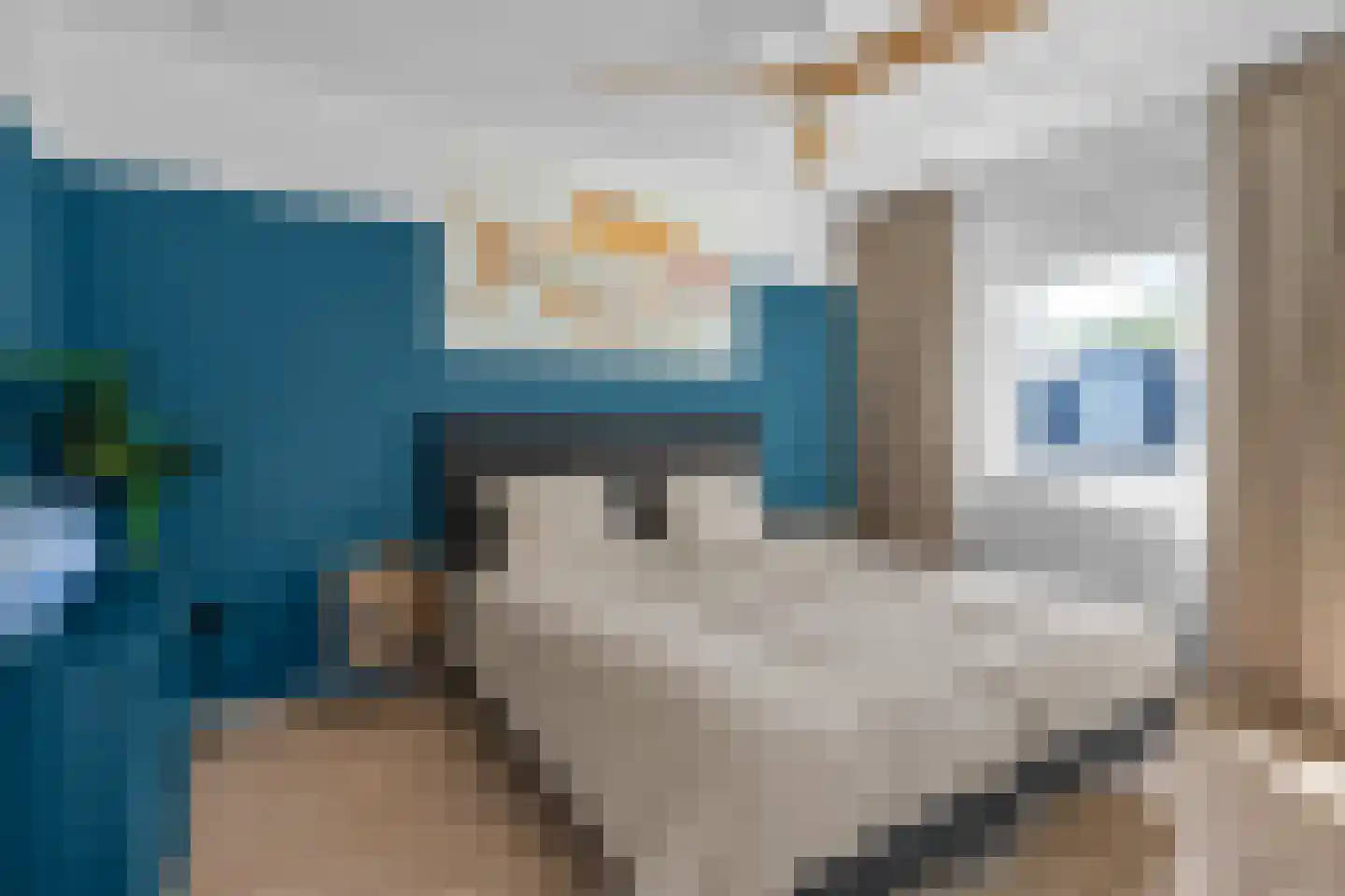 Walter Kollolaan 204 Utrecht thumbnail 19