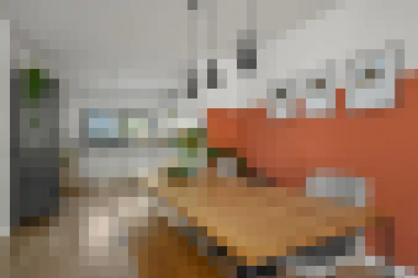 Walter Kollolaan 204 Utrecht thumbnail 7