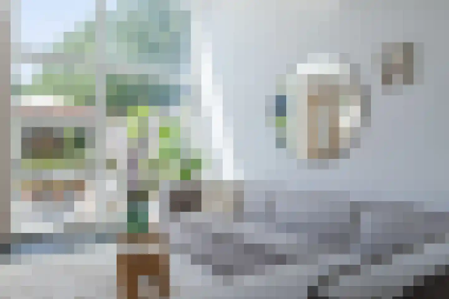 Walter Kollolaan 212 Utrecht thumbnail 11