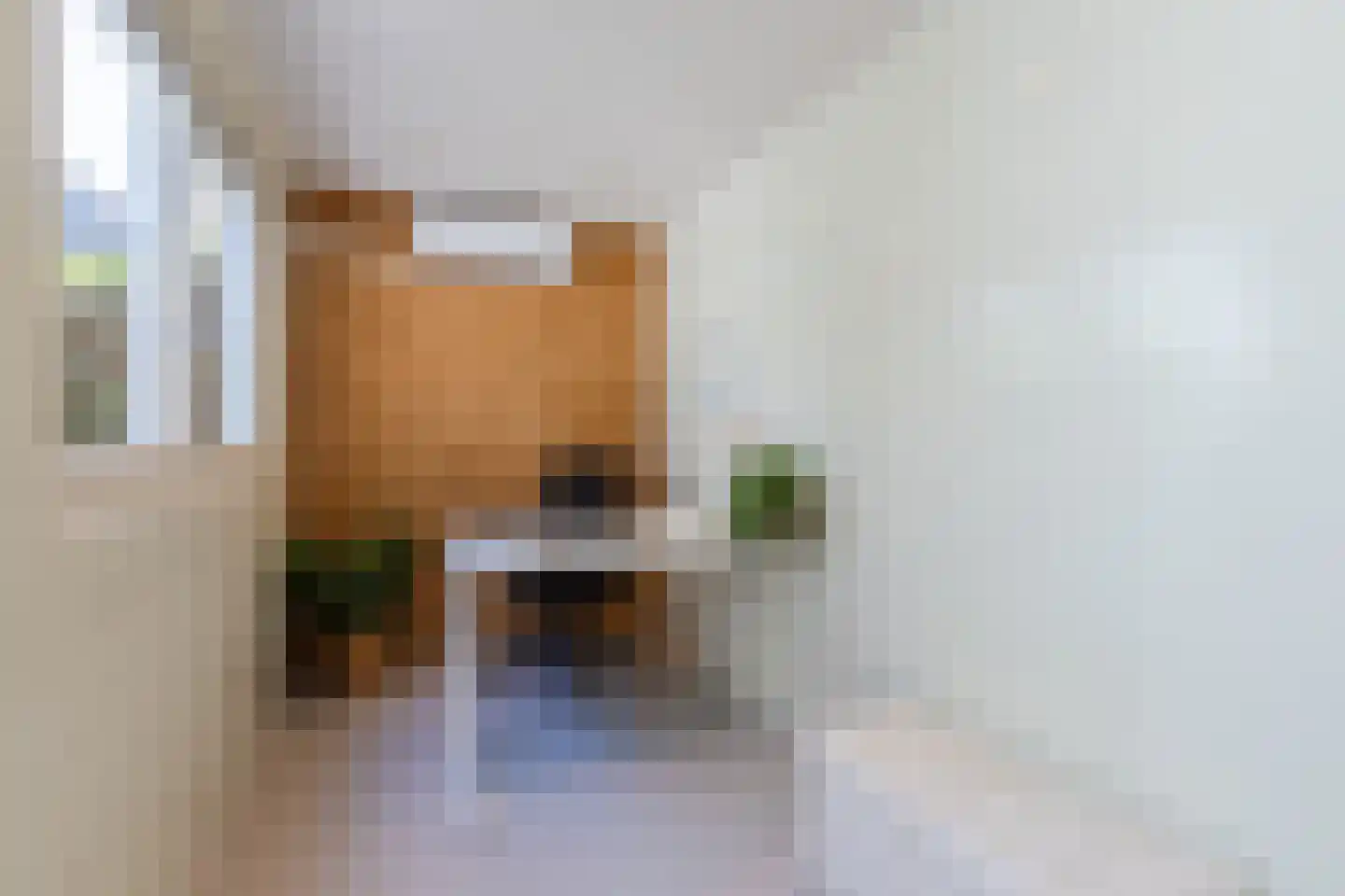 Walter Kollolaan 212 Utrecht thumbnail 14