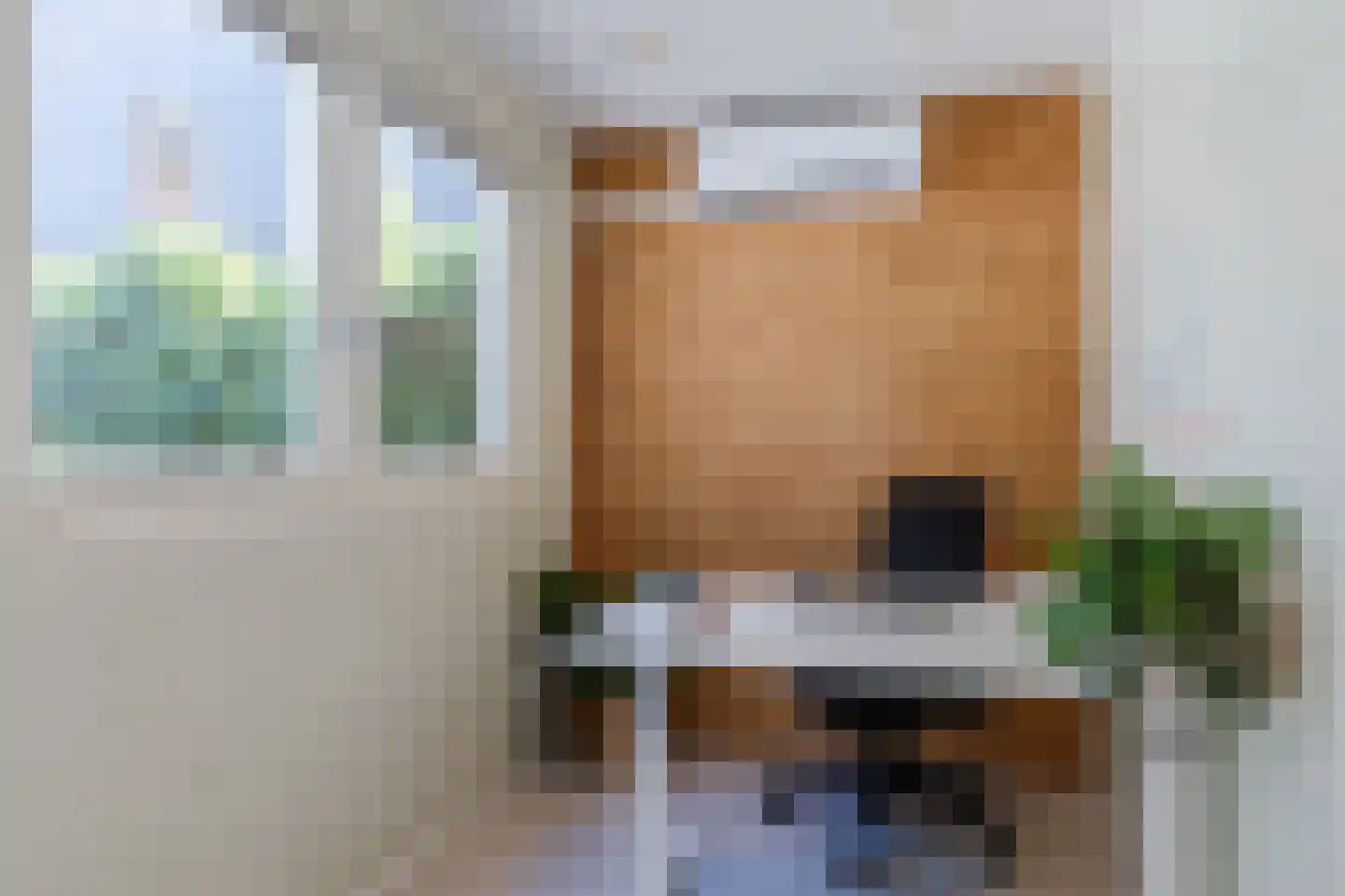 Walter Kollolaan 212 Utrecht thumbnail 15